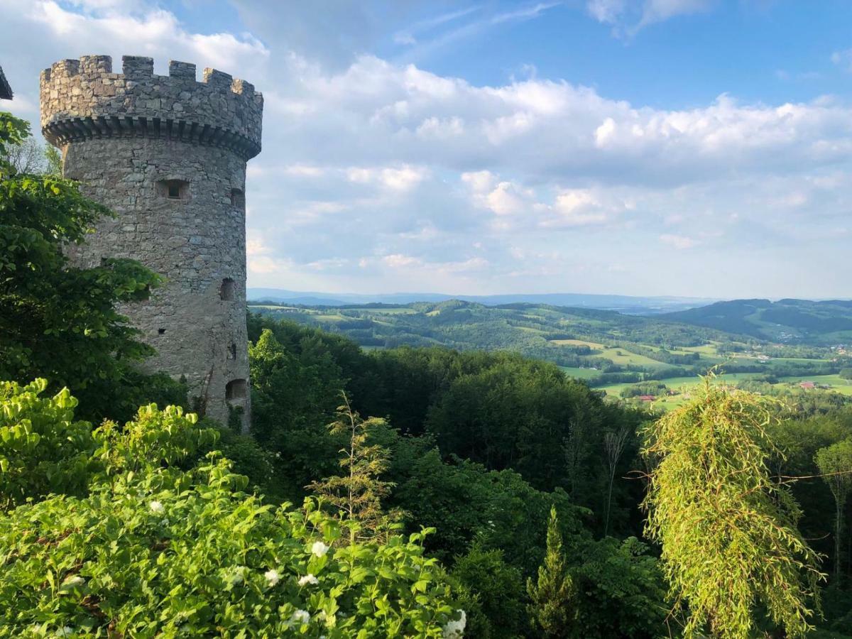 Burg Plankenstein 호텔 Texing 외부 사진