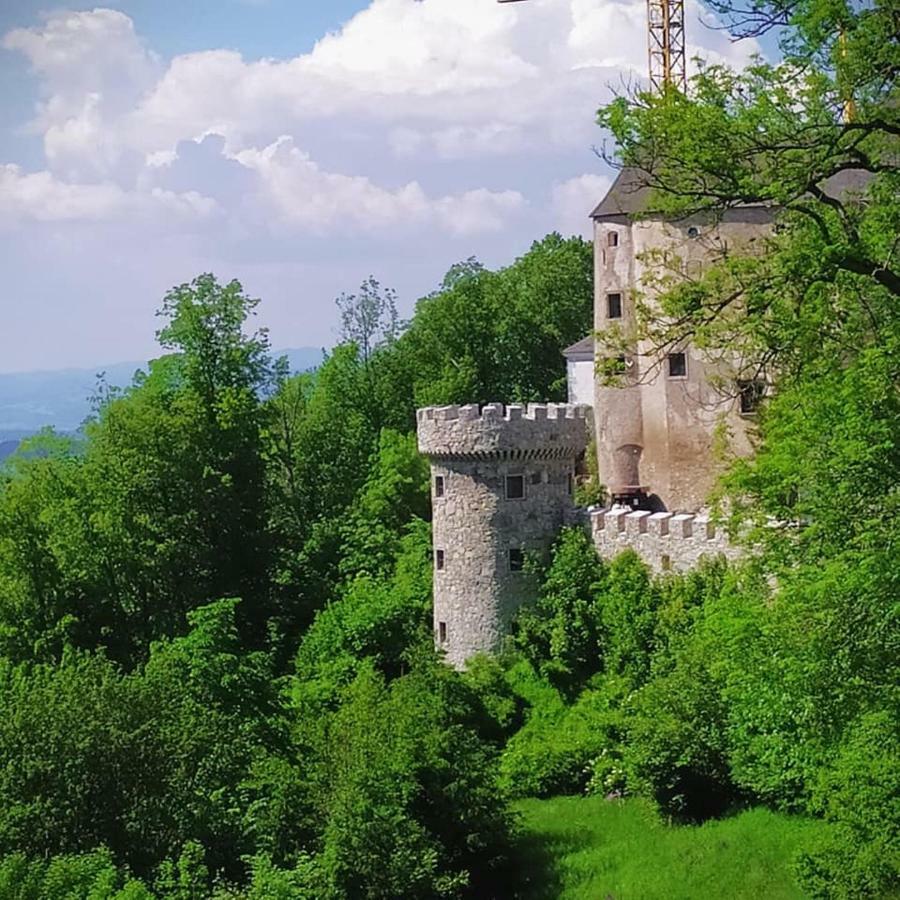 Burg Plankenstein 호텔 Texing 외부 사진